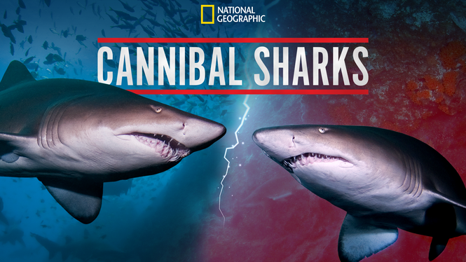 Cannibal Sharks (2019) - Disney+ | Flixable