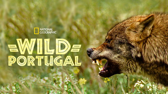 دانلود زیرنویس مستند Wild Portugal 2020 – بلو سابتايتل