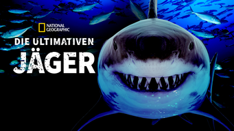 Haie - Die ultimativen Jäger (2019)