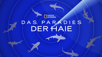 Das Paradies der Haie (2010)