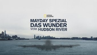 Mayday Spezial - Das Wunder vom Hudson River (2014)