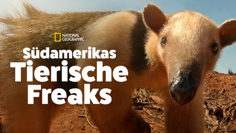 Südamerikas tierische Freaks (2020)