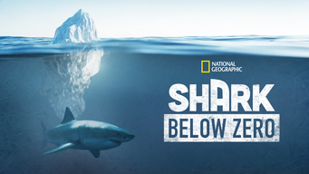 Shark Below Zero (2023)