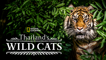 Thailand's Wild Cats (2022)