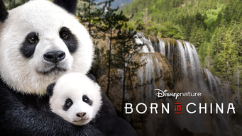 Disneynature Born in China (2017)