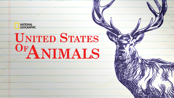 United States Of Animals (2015)