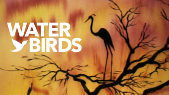 Water Birds (1952)