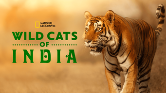 Wild Cats of India (2019)