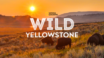 Wild Yellowstone (2015)