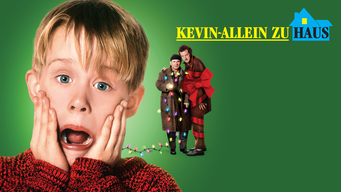 Kevin - Allein zu Haus (1990)