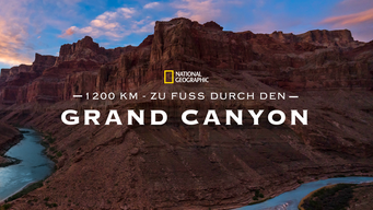 1200 km - Zu Fuß durch den Grand Canyon (2019)