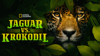 Jaguar vs. Croc (2017)