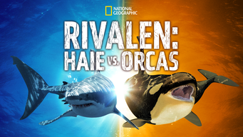 Rivalen: Haie vs. Orcas (2021)