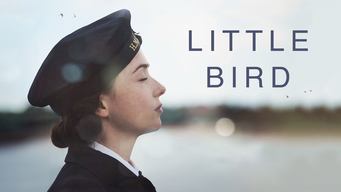 Little Bird (2017)