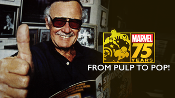 Marvel: 75 Years, from Pulp to Pop! (2014)