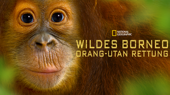 Wildes Borneo: Orang-Utan Rettung (2015)