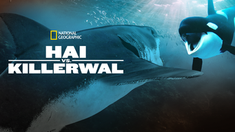 Hai vs. Killerwal (2021)