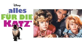 Alles für die Katz' (1965)