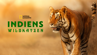 Die Wildkatzen Indiens (2019)