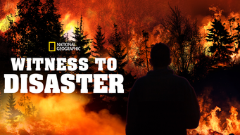 Witness To Disaster (2019)