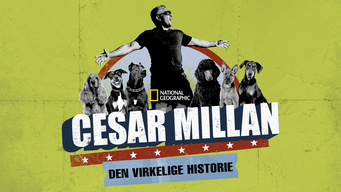 Cesar Millan: Den virkelige historie (2012)