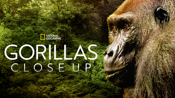 Gorillas Close Up (2022)