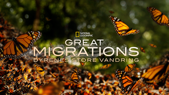 Great Migrations: Dyrenes store vandring (2010)