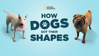 How Dogs Got Their Shapes (2015)