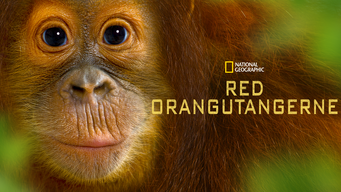 Red orangutangerne (2015)