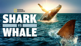 Shark Vs Whale (2020)