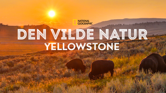 Den vilde natur: Yellowstone (2015)