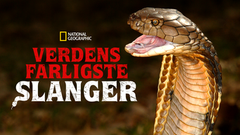 Verdens farligste slanger (2020)