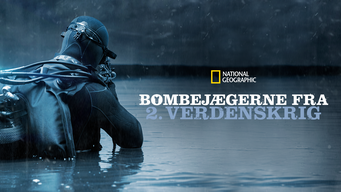 Bombejægerne fra 2. Verdenskrig (2020)