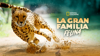 La Gran Familia Felina (2015)