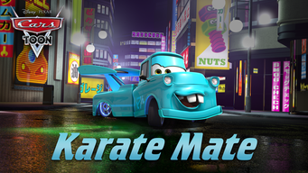 Karate Mate (2008)