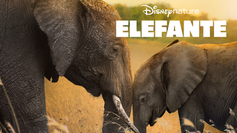 Elefante (2020)