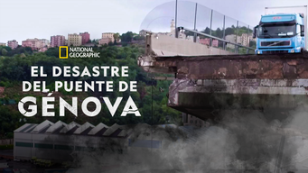 El desastre del puente de Génova (2019)