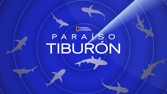 Paraíso Tiburón (2010)