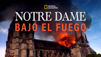 Notre Dame Bajo el Fuego (2019)