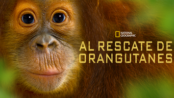 Al rescate de orangutanes (2015)