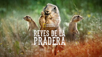 Reyes de la Pradera (2019)