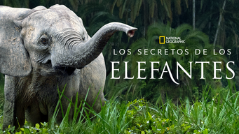 Los secretos de los elefantes (2023)