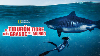 El tiburón tigre más grande del mundo (2020)