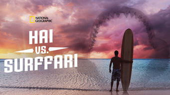 Hai vs. surffari (2020)