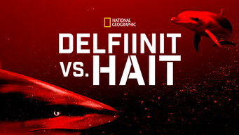 Delfiinit vs. hait (2020)
