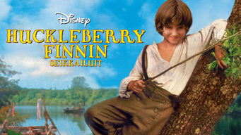 Huckleberry Finnin seikkailuit (1993)