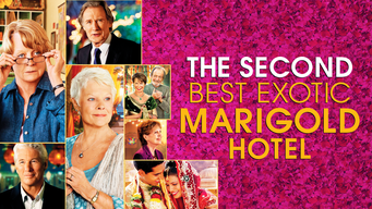 Second Best Exotic Marigold Hotel, The (2015)
