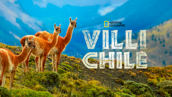 Villi Chile (2017)