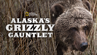 Alaska, survie avec les ours (2018)