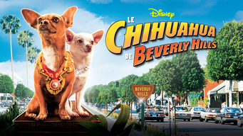 Le chihuahua de Beverly Hills (2008)